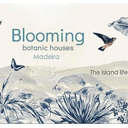 Blooming Botanic Houses Estreito Da Calheta Εξωτερικό φωτογραφία