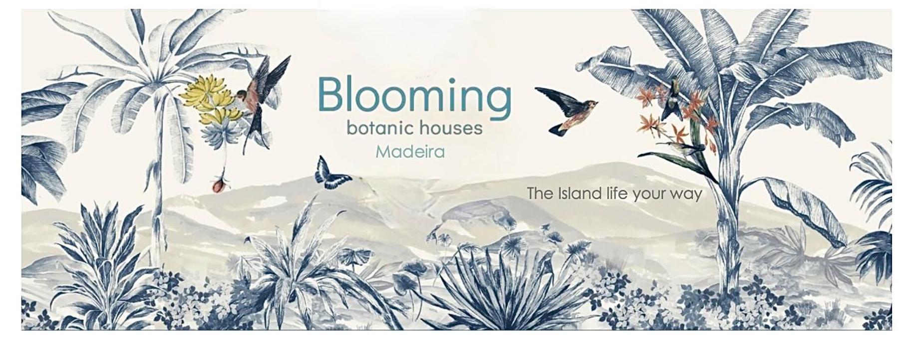 Blooming Botanic Houses Estreito Da Calheta Εξωτερικό φωτογραφία