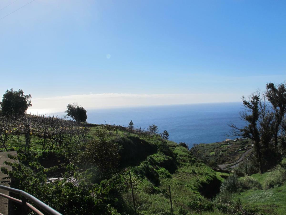 Blooming Botanic Houses Estreito Da Calheta Εξωτερικό φωτογραφία