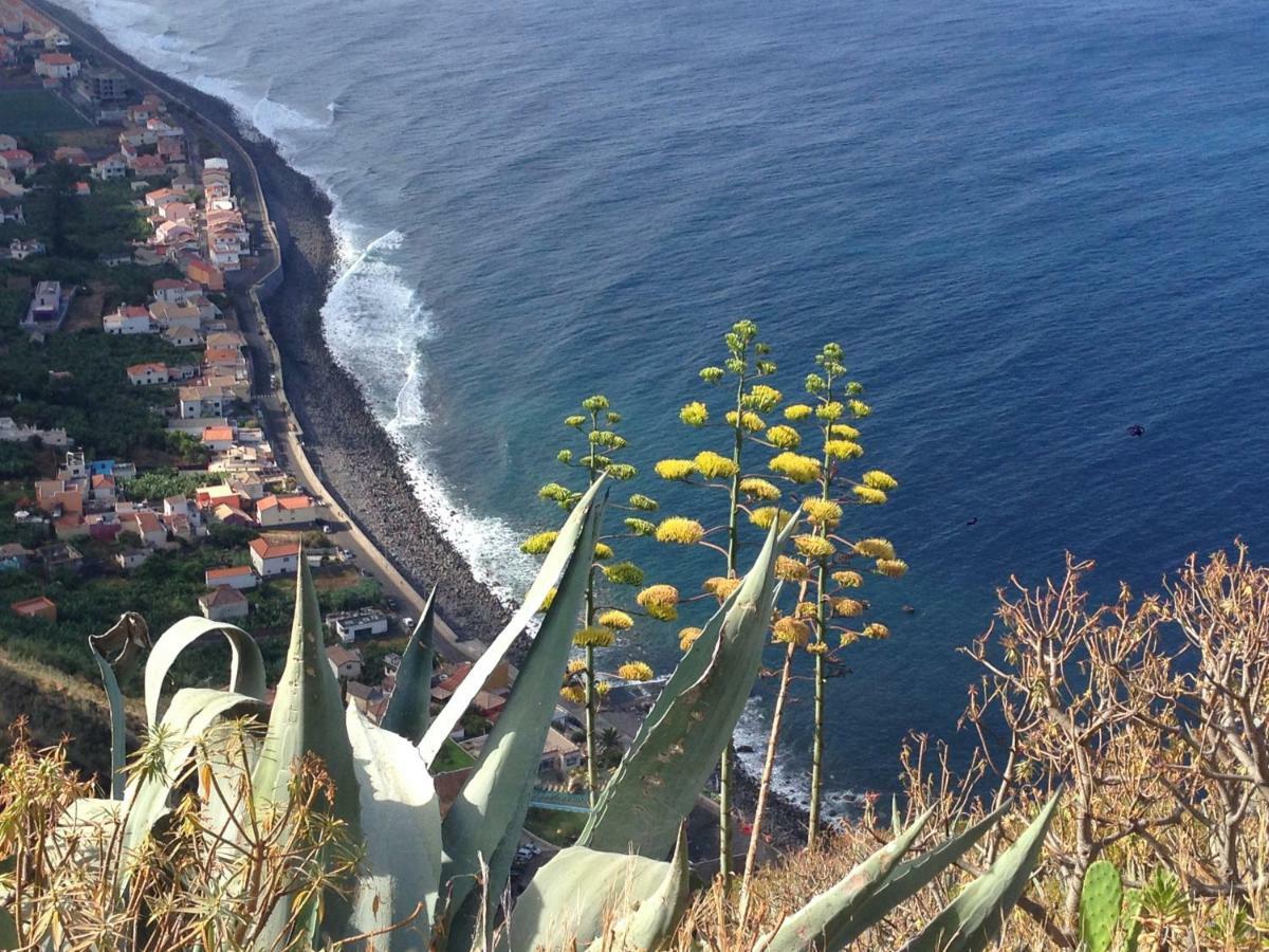 Blooming Botanic Houses Estreito Da Calheta Εξωτερικό φωτογραφία