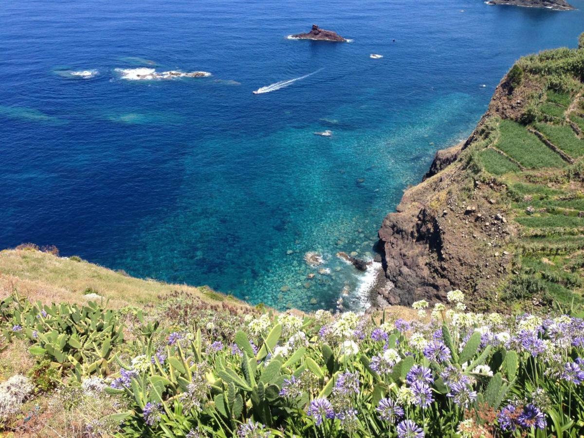 Blooming Botanic Houses Estreito Da Calheta Εξωτερικό φωτογραφία