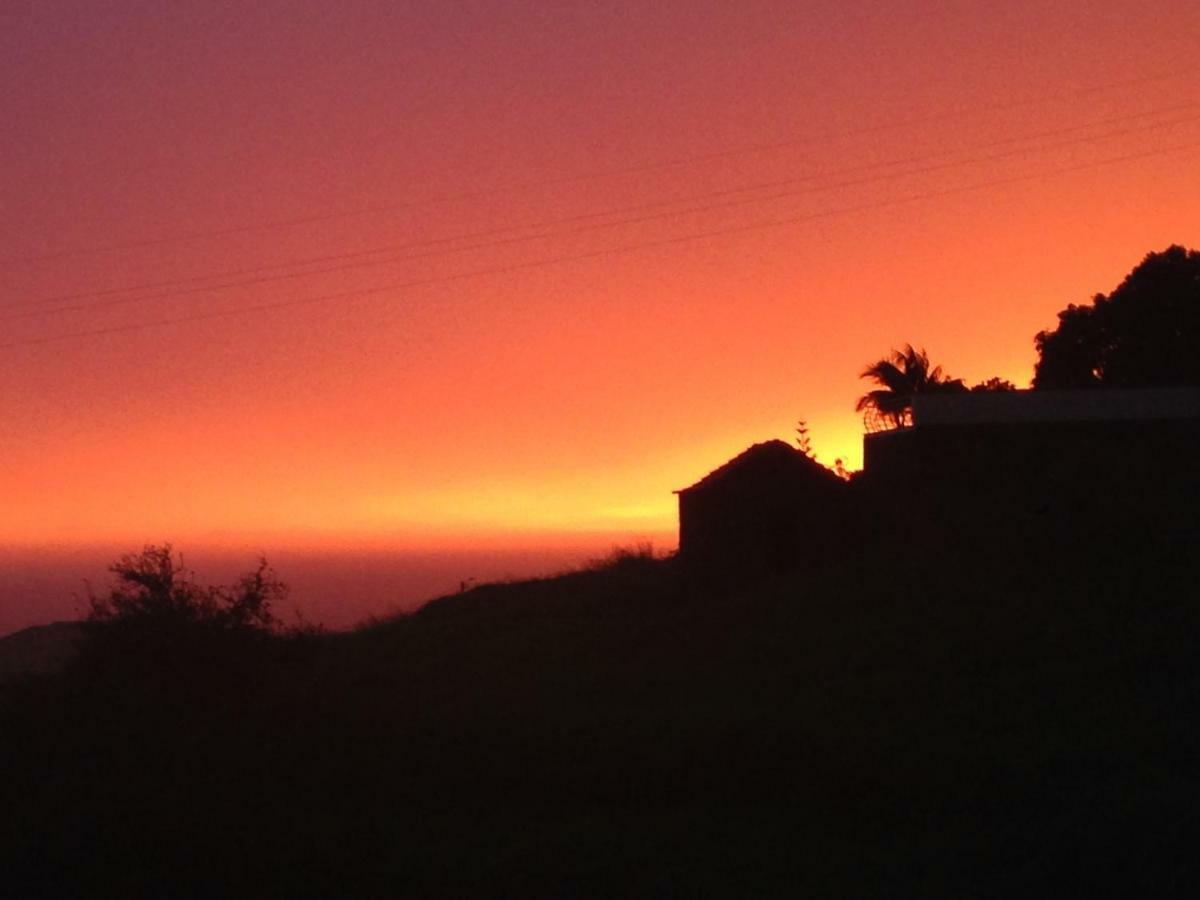 Blooming Botanic Houses Estreito Da Calheta Εξωτερικό φωτογραφία
