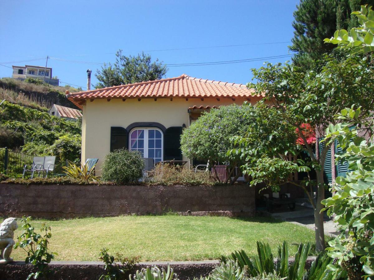 Blooming Botanic Houses Estreito Da Calheta Εξωτερικό φωτογραφία