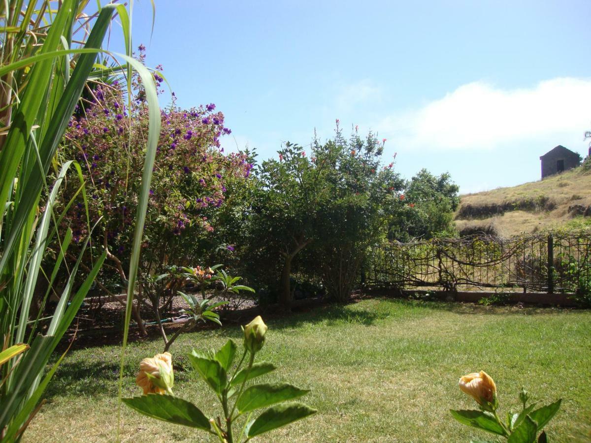 Blooming Botanic Houses Estreito Da Calheta Εξωτερικό φωτογραφία