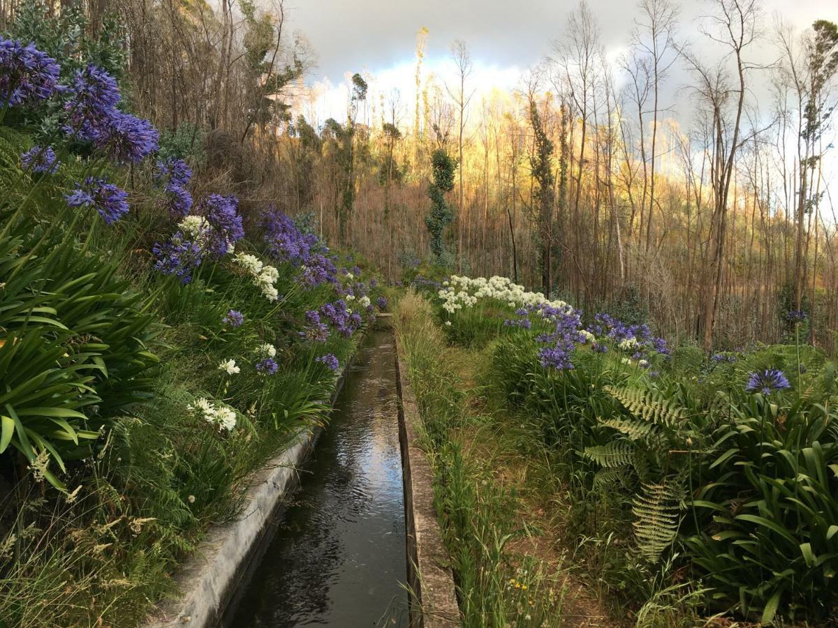 Blooming Botanic Houses Estreito Da Calheta Εξωτερικό φωτογραφία