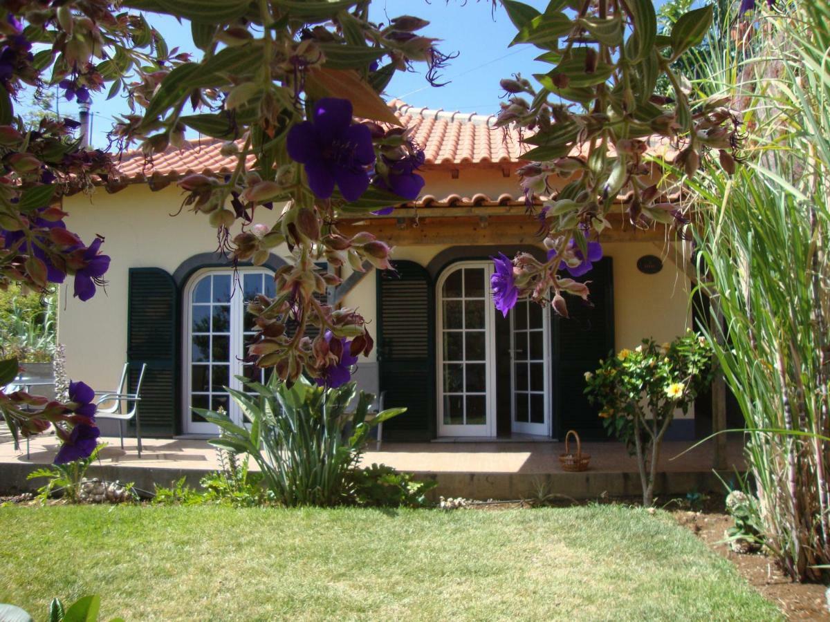 Blooming Botanic Houses Estreito Da Calheta Εξωτερικό φωτογραφία